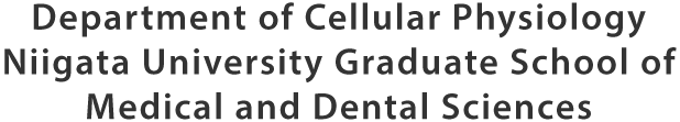 Department of Cellular Physiology Niigata University Graduate School of Medical and Dental Sciences