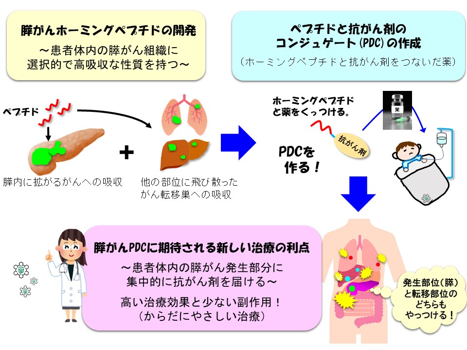 プレスリリース用ポンチ絵　こんどうえいさく最終版