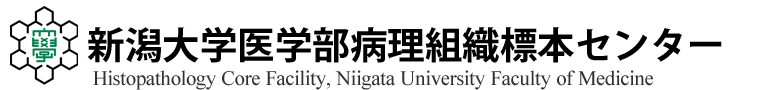 医学部病理組織標本センター