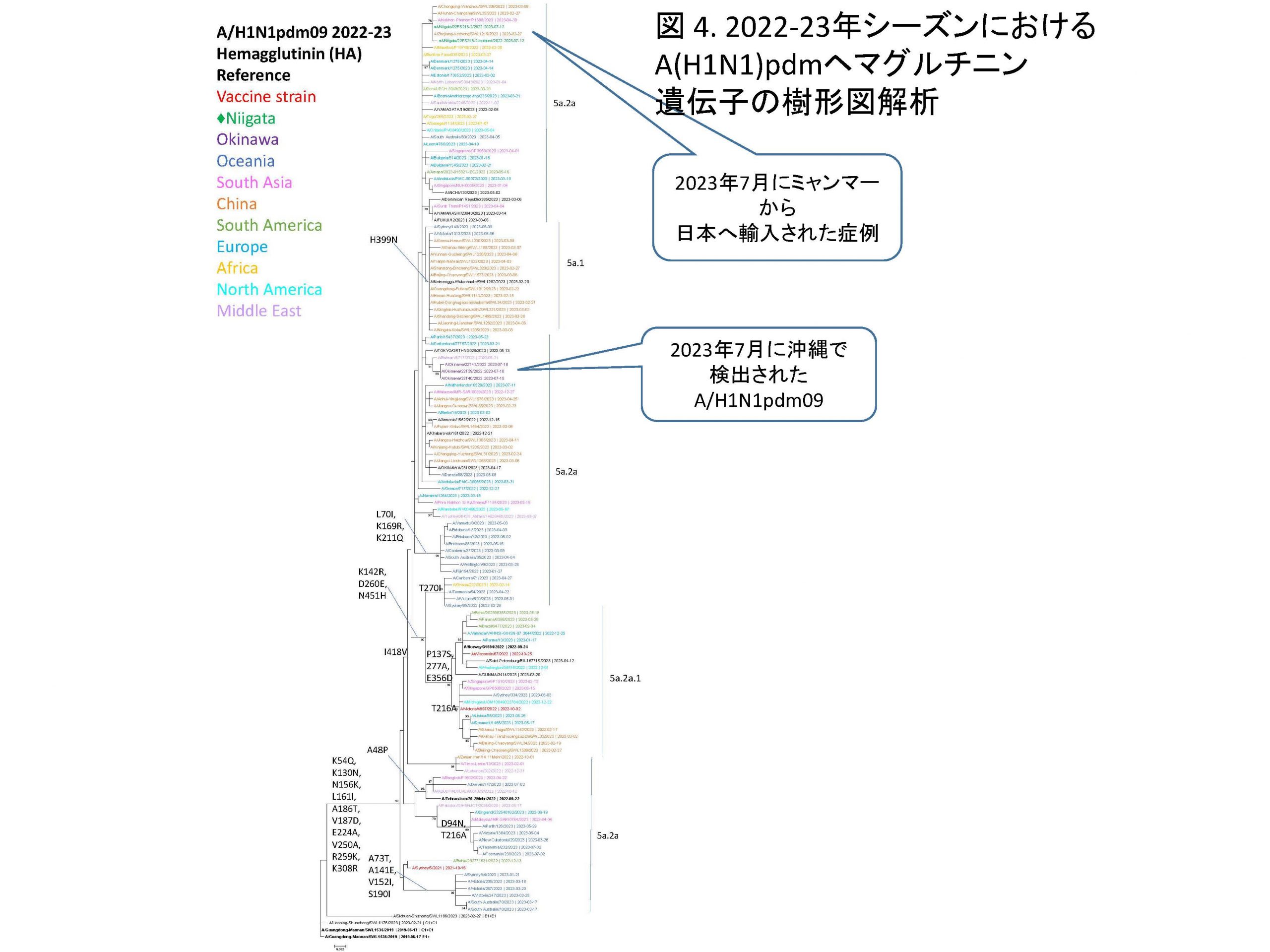 2022-2023年シーズンの日本におけるインフルエンザサーベイランスの概要 - 新潟大学大学院医歯学総合研究科 国際保健学分野（公衆衛生）