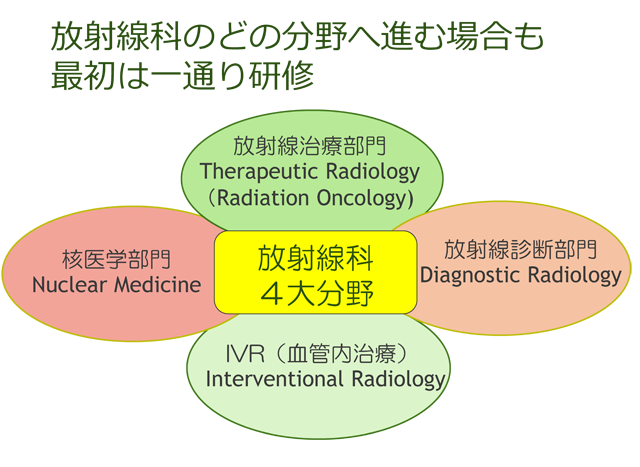 放射線科の４大分野