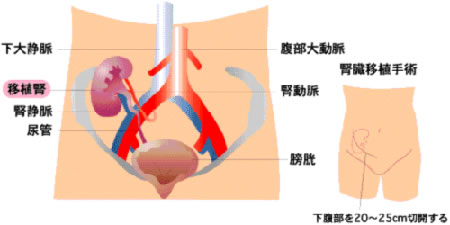 図1