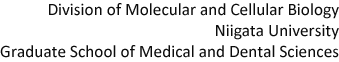 Division of Molecular and Cellular Biology, Niigata University, Granduate School of Medical and Dental Sciences.