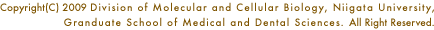 Copyright(C) 2009 Division of Molecular and Cellular Biology, Niigata University, Granduate School of Medical and Dental Sciences. All Right Reserved.