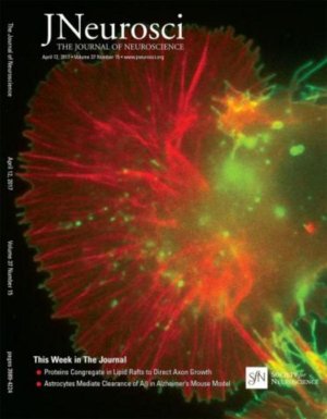 2017 JNeurosci Cover