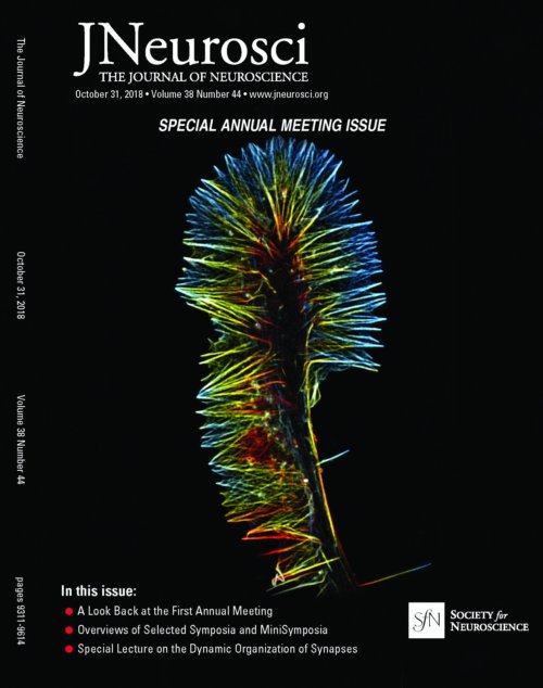 2018 JNeurosci Cover