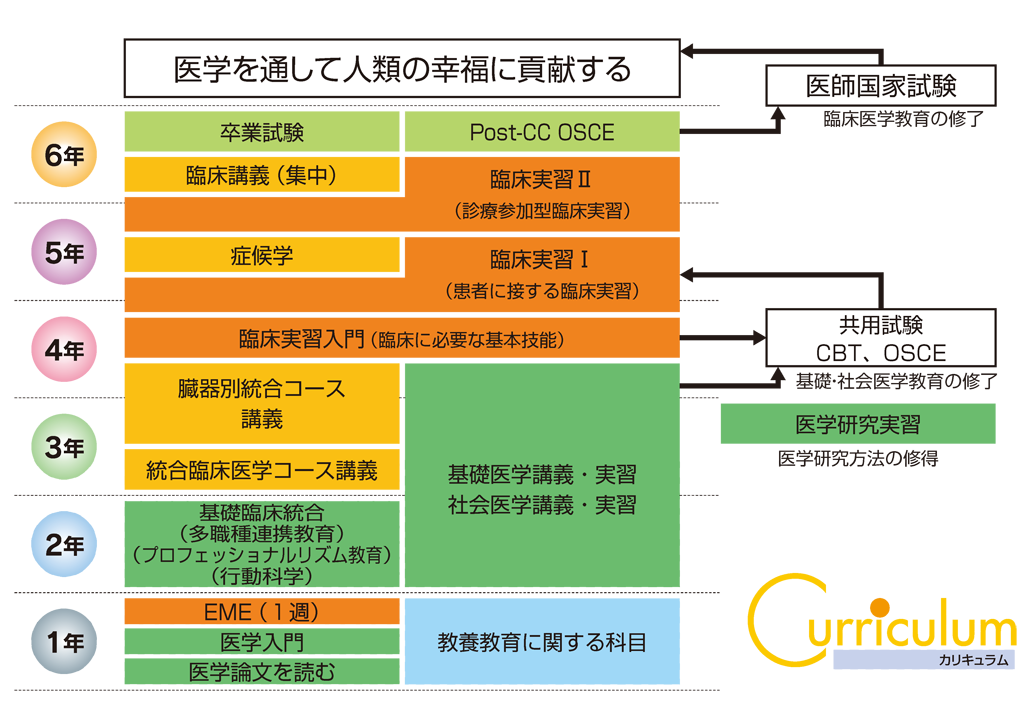 カリキュラムの概要 新潟大学医学部医学科
