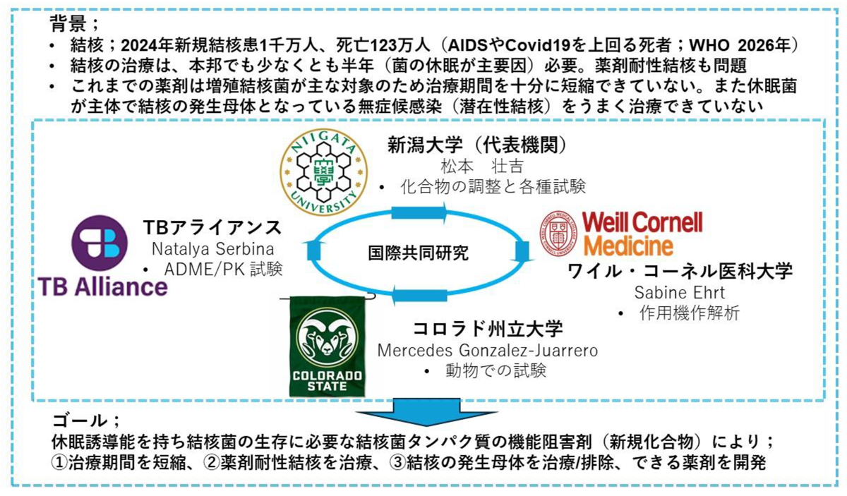 新潟大学大学院医歯保健学研究科細菌学分野の松本壮吉教授が Global Health Innovative Technology Fund(GHIT Fund)に採択されました 抗酸菌の休眠を標的とした、薬剤耐性結核の治療および治療期間短縮に資する抗結核薬リードの創出