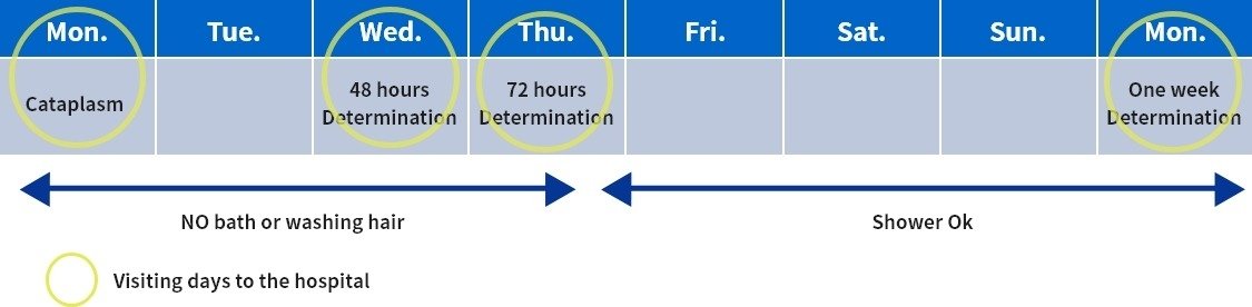 Patch Testing Schedule