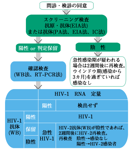 HIV検査の流れ