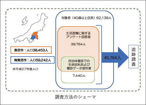 調査方法のシェーマ