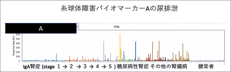 プロテオミクス、ペプチドミクスによる尿バイオマーカーの探索