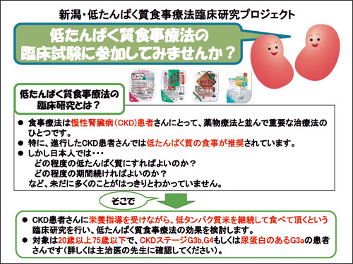 低たんぱく食事療法