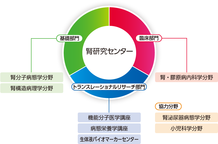 組織図