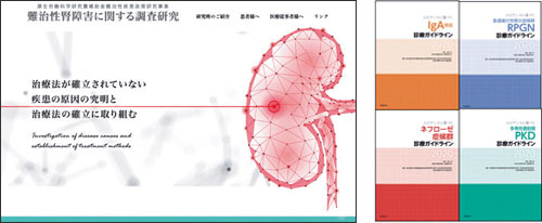 「難治性腎障害に関する調査研究」