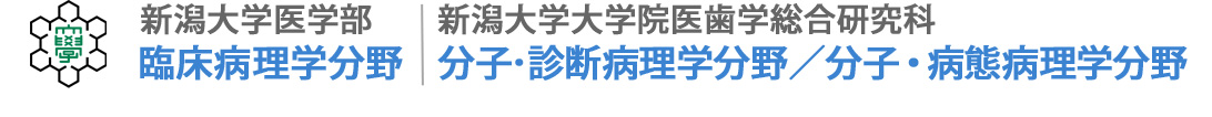 新潟大学医学部臨床病理学分野