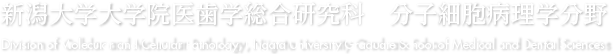 新潟大学大学院医歯学総合研究科 分子細胞病理学分野