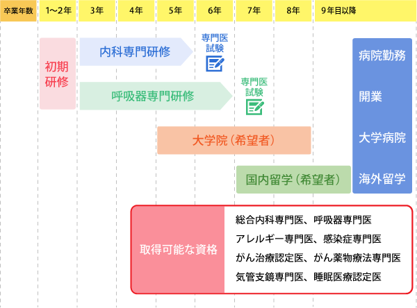 専門研修キャリアパスイメージ