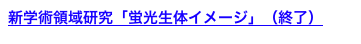 新学術領域研究「蛍光生体イメージ」（終了）