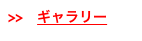 >>　ギャラリー