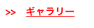 >>　ギャラリー