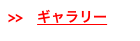 >>　ギャラリー