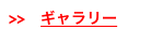 >>　ギャラリー